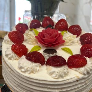 Tort Duży XL